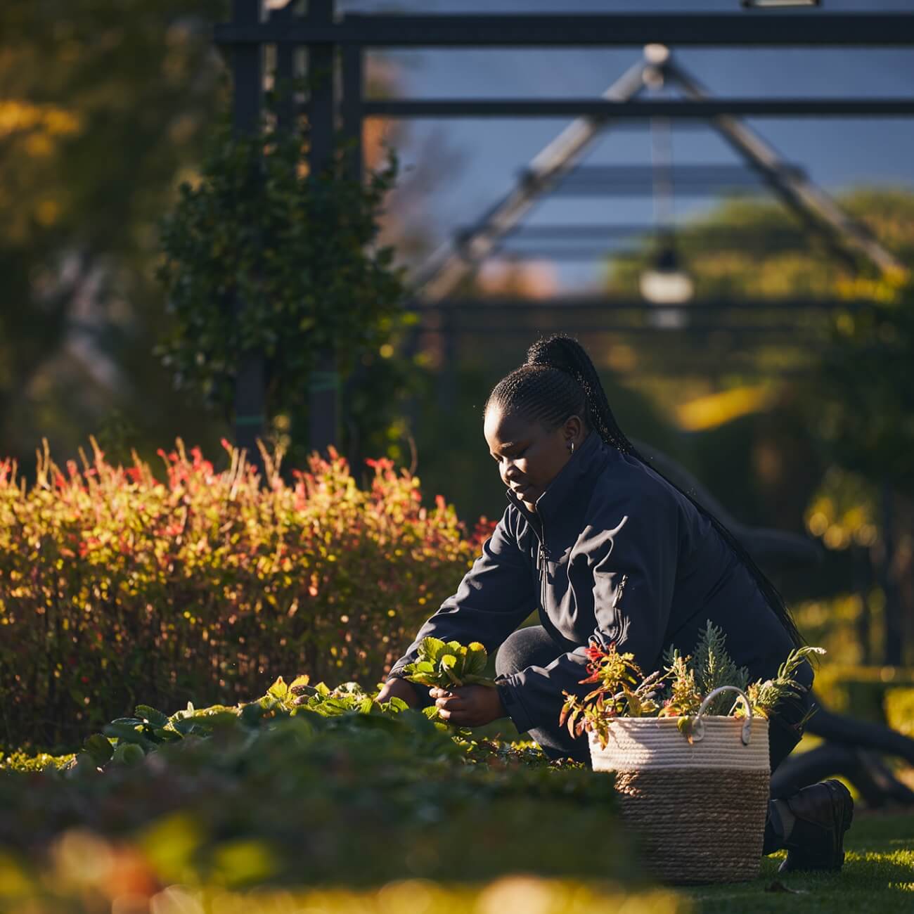 67bc54dc5bc35-Herb Garden Harvest (7)@2x